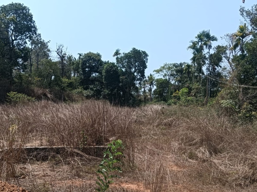 12 Cents of House Plot for Sale in Kaithakkal, Kappumchal, Wayanad