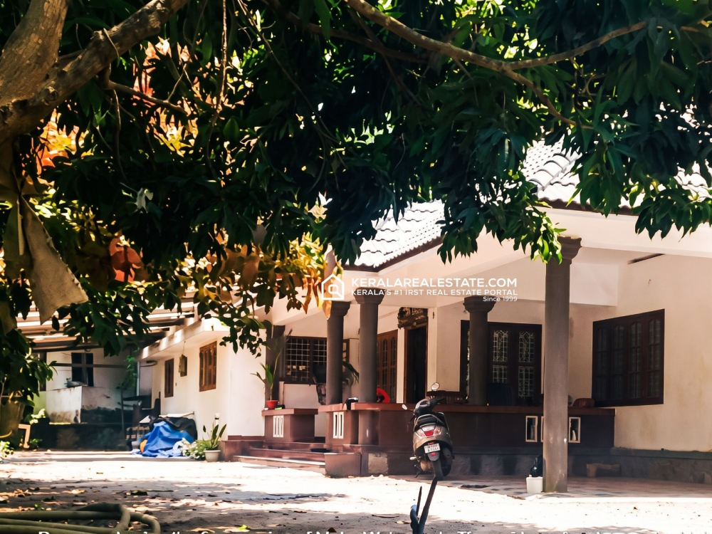  PLANTATION FOR SALE IN MURIKASSERY, IDUKKI