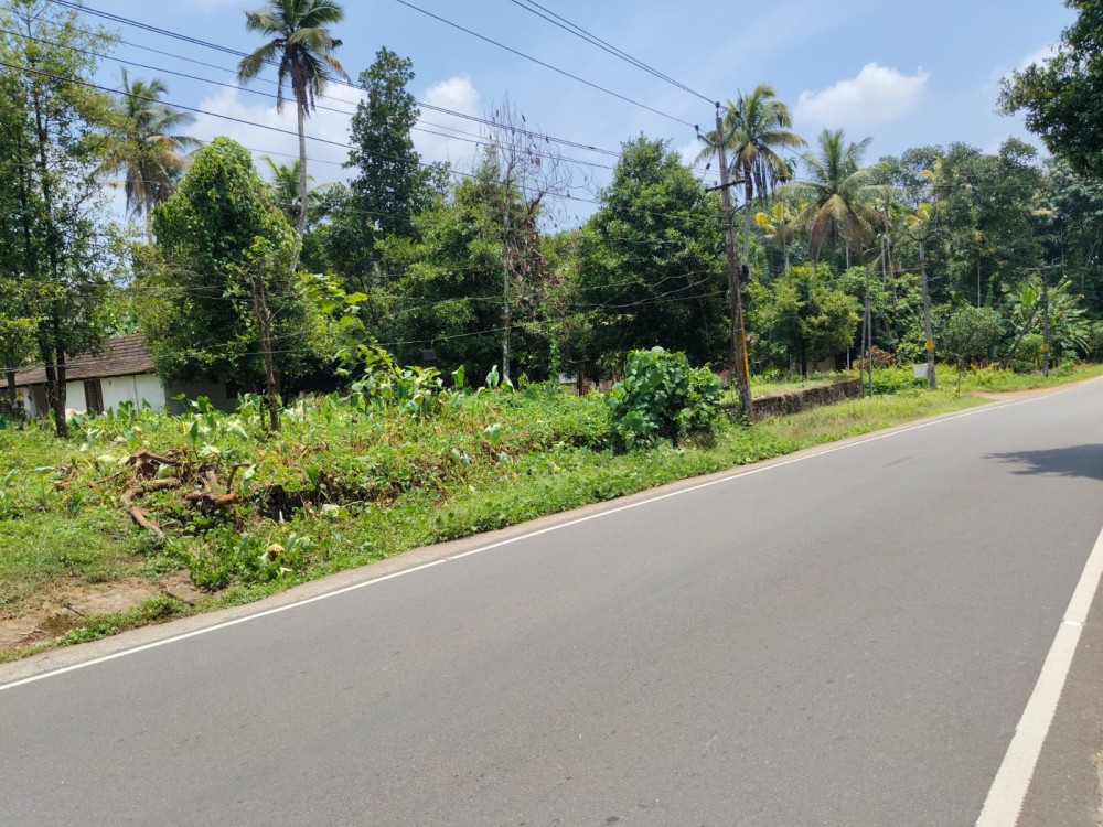 Land for Sale in Moovattupuzha, Ernakulam 