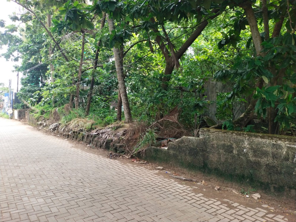 Land for Sale in Kundannoor, Ernakulam 