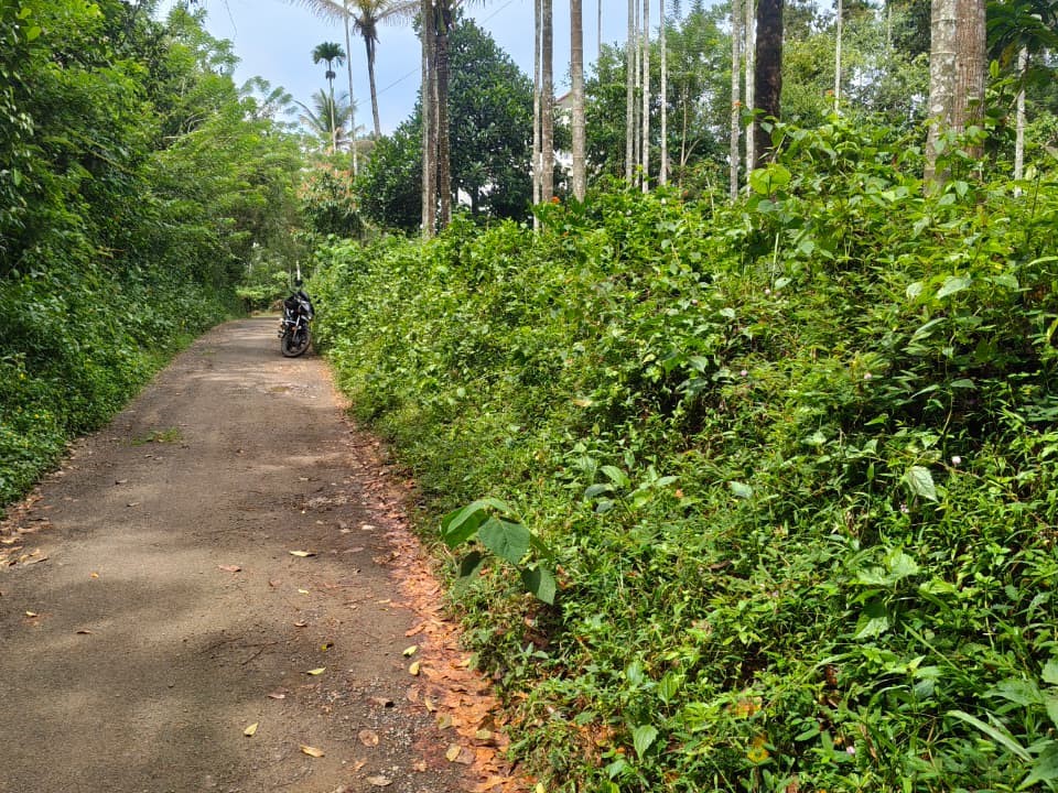  Land for Sale in Varadoor, Wayanad 