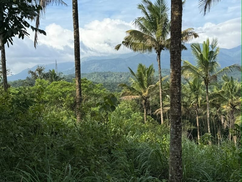 Tourism Land for Sale in Valad, Wayanad