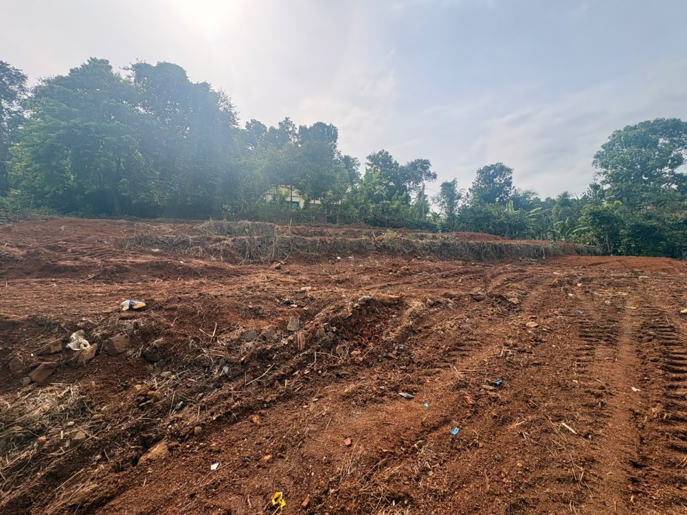 Residential Plots for Sale in Enadi, Near Olassa, Kottayam