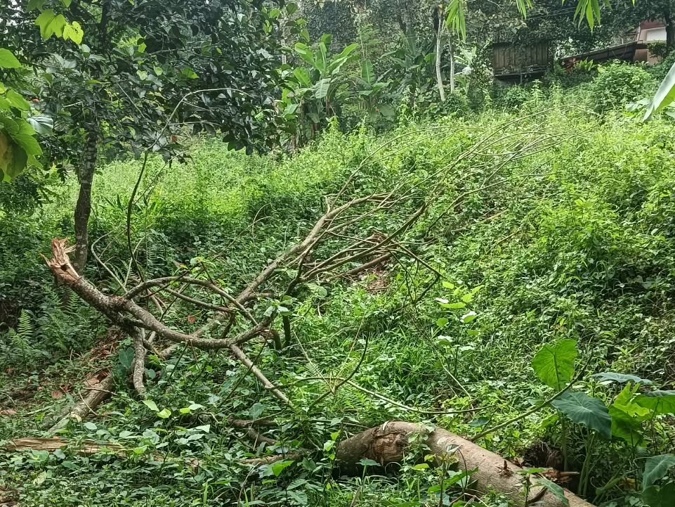 Land for Sale in Kalpetta, Wayanad 