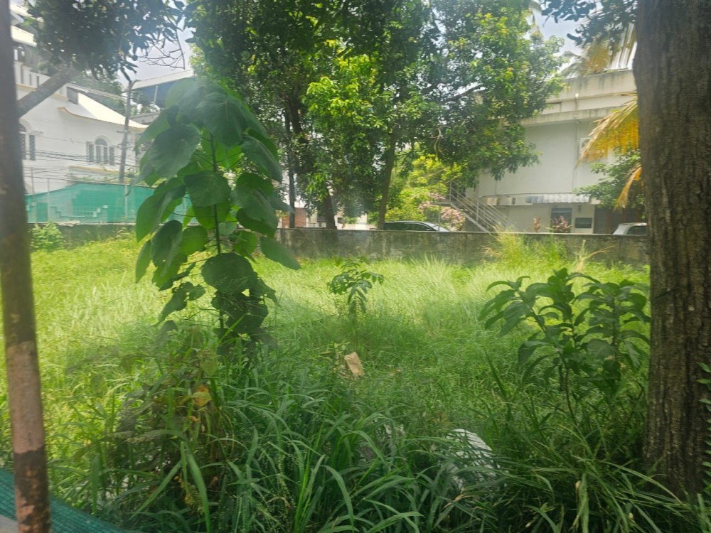 10.12 Cents of Semi-Commercial Land for Sale in Palarivattom, Ernakulam