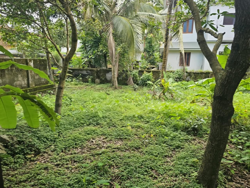 Residential Plot for Sale Near TOC-H School, Vyttila, Ernakulam