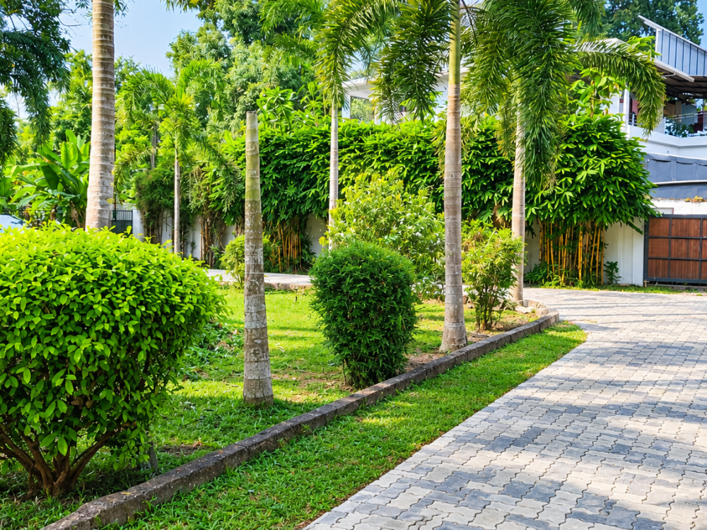 7 Cents of Land for Sale Near Aluva Thuruth LP School, Ernakulam