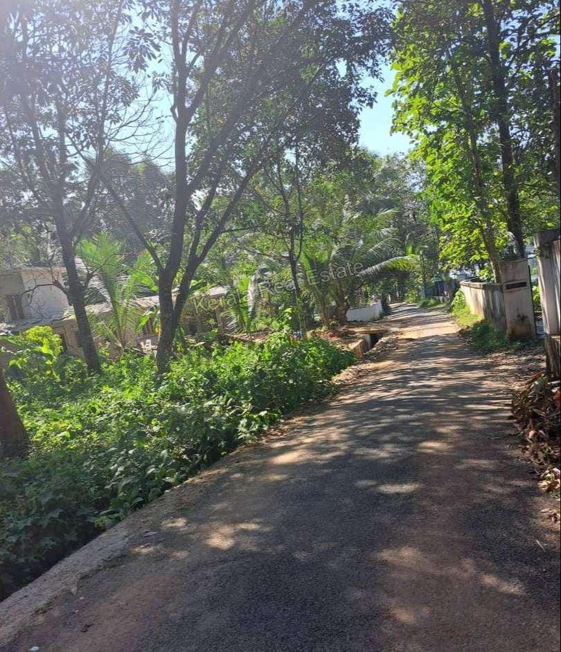 Land for Sale at Pala Town on Bypass, Kottayam