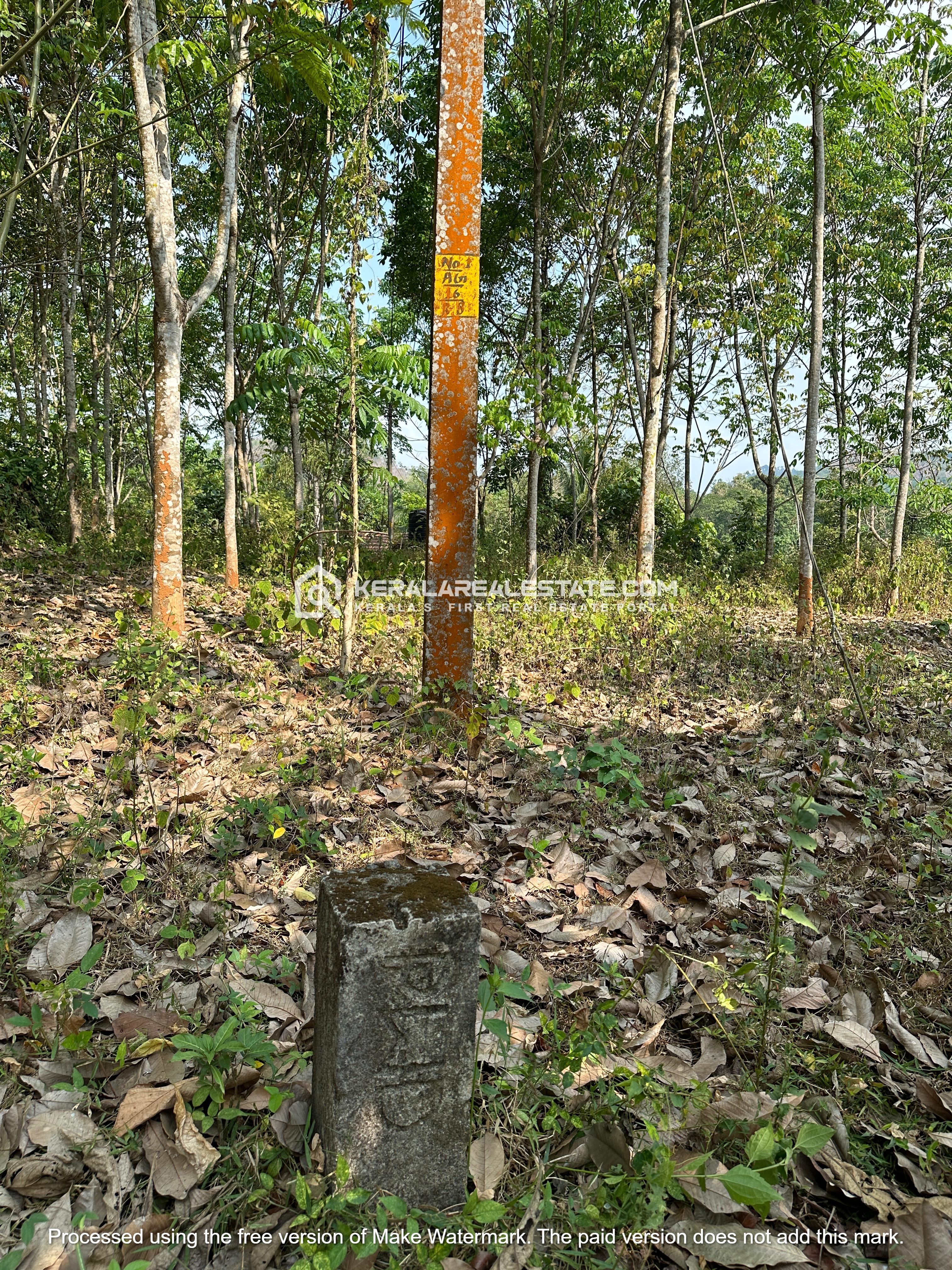 Waterfront Land for Sale at Thodupuzha, Idukki
