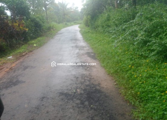 Plot for Sale in Mananthavady, Wayanad