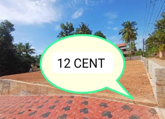 Land for Sale in Mannanthala, Trivandrum