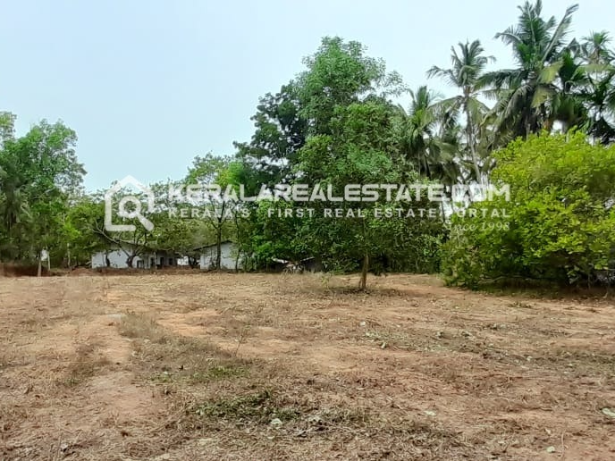 Residential Land for Sale in Venduttayi, Pinarayi, Kannur
