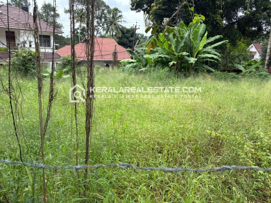 Prime Land for Sale in Devalokam, Aramana, Kottayam 