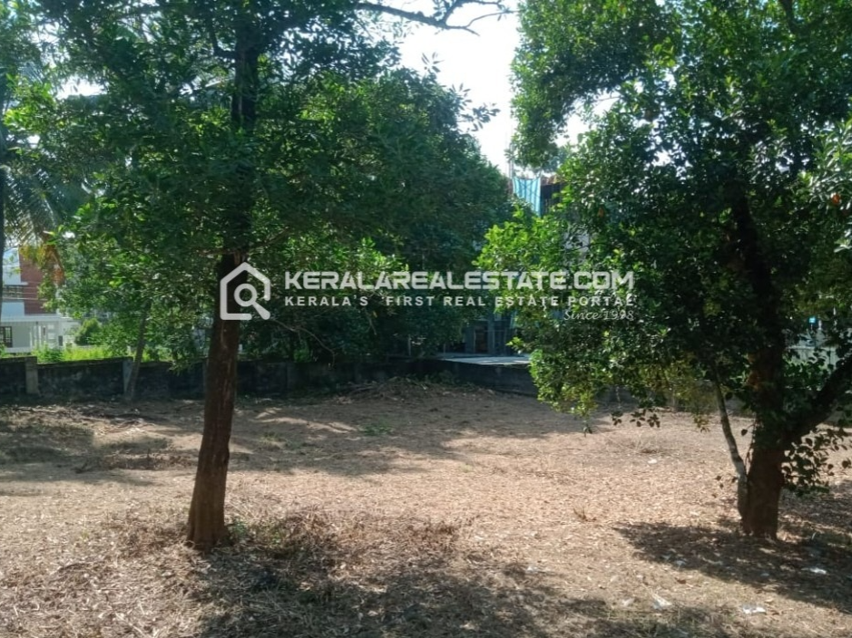 Prime Land for Sale Near CUSAT Campus, Kalamassery, Ernakulam 