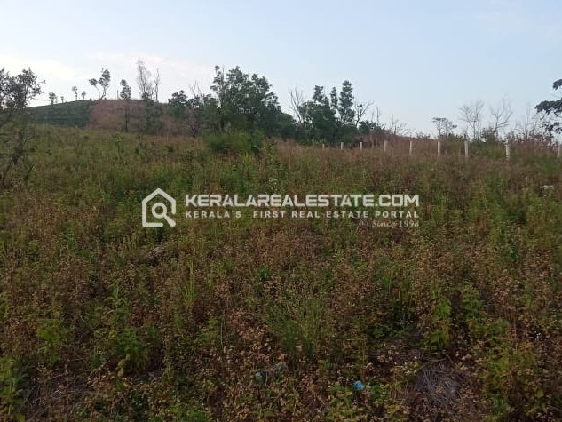 Land for Sale in Vagamon, Idukki 