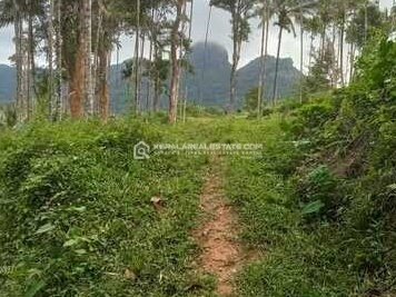 Hill View Land for Sale in Ambalavayal, Wayanad