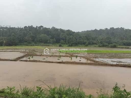  Land with 3BHK House in Mananthavady, Wayanad