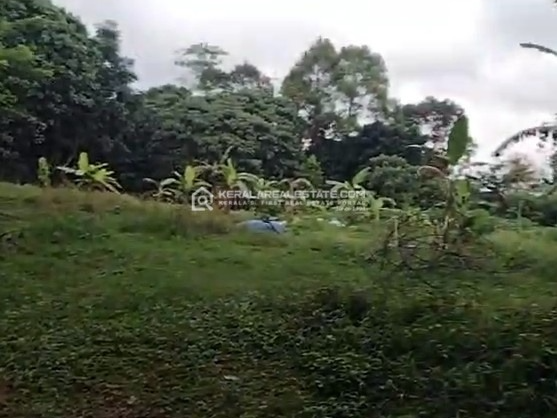 Square Plot for Sale Near Kakkanad Infopark, Ernakulam