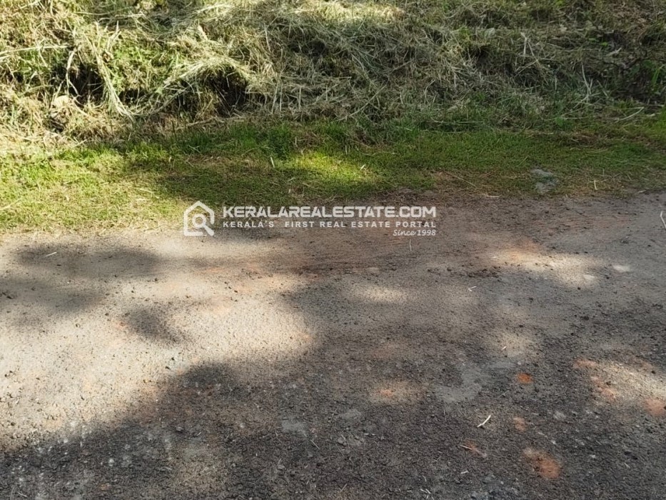 Prime Land for Sale in Kadavanthra, Ernakulam 