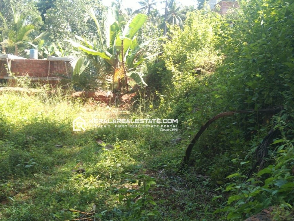 Land for Sale in Mundickal Thazham, Calicut 