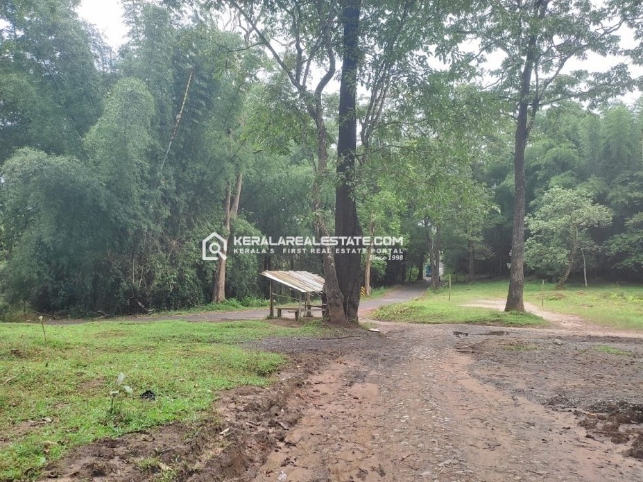 Land for Sale in Vakeri, Wayanad