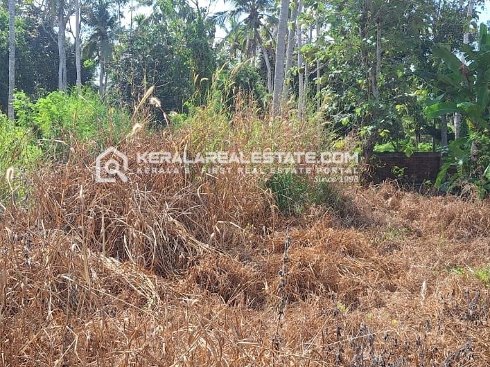 House Plot for Sale in Kariyavattom, Trivandrum 