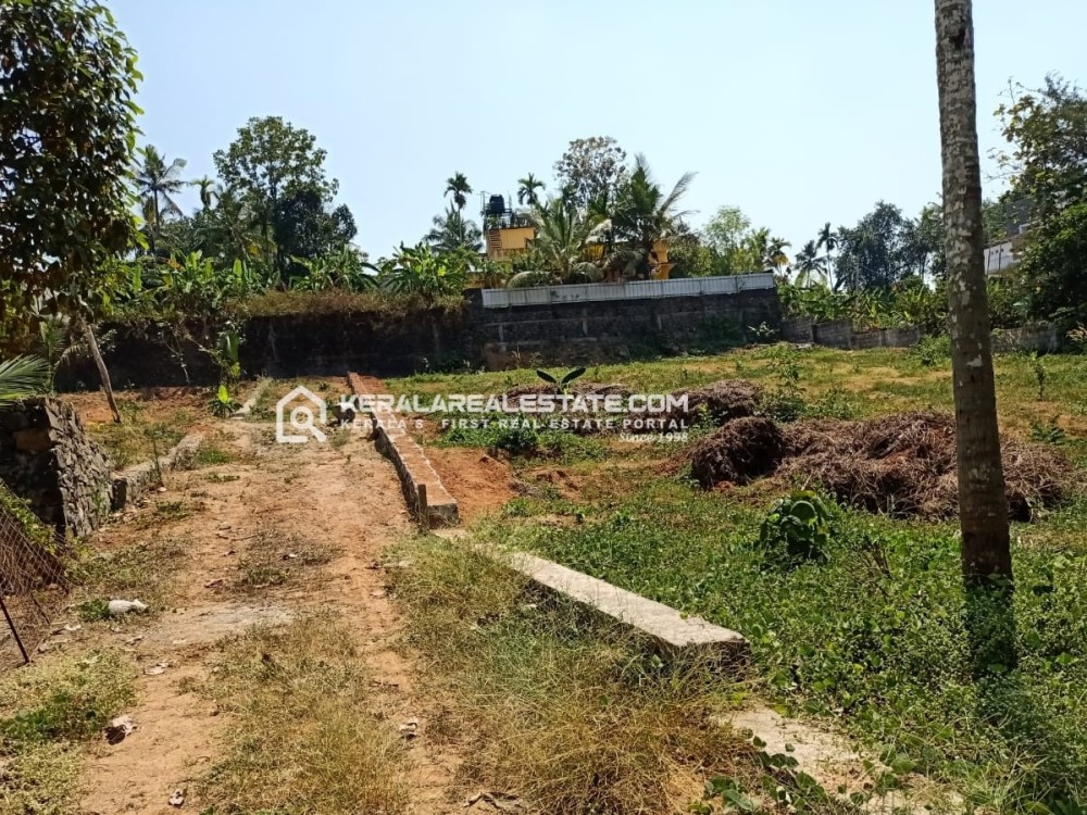 Land for Sale in Mulanthuruthy, Ernakulam 