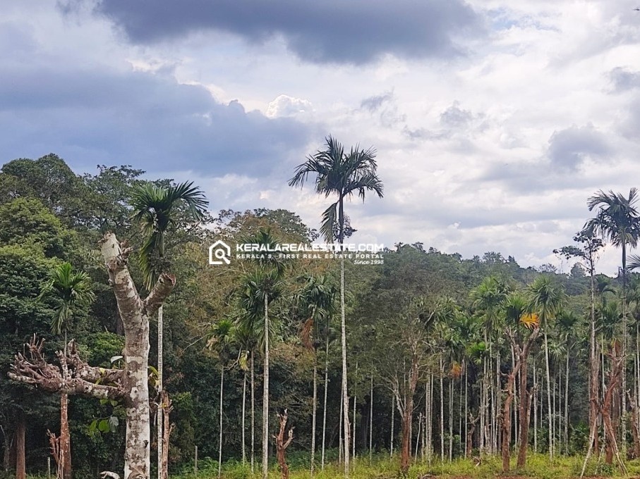 Land with Scenic View for Sale in Valluvady, Wayanad