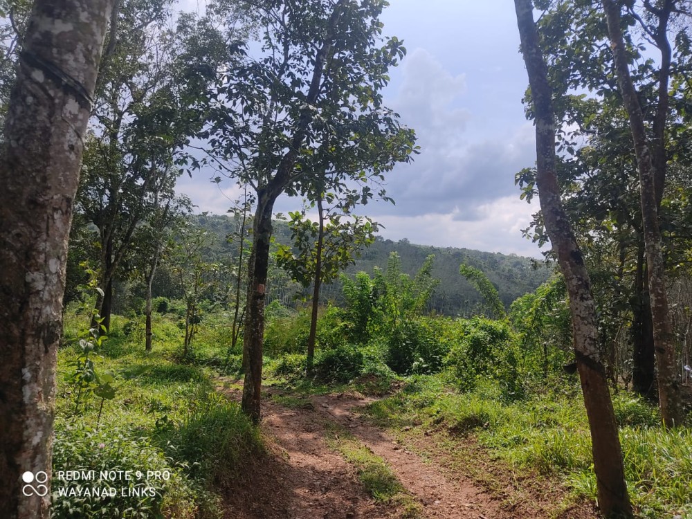  3 BHK House for Sale in Nadavayal, Wayanad