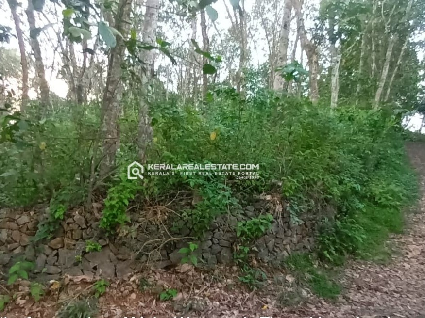 Land for Sale in Arakkunnam, Ernakulam 