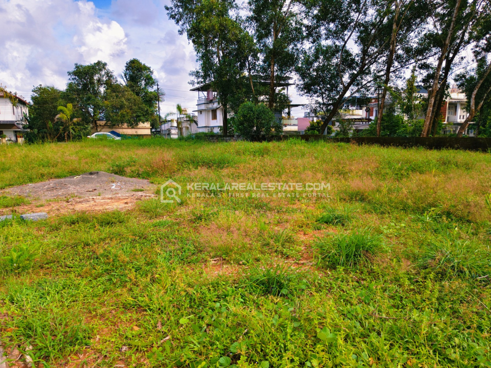 Prime Residential Plots for Sale Near Infopark, Kakkanad, Ernakulam 