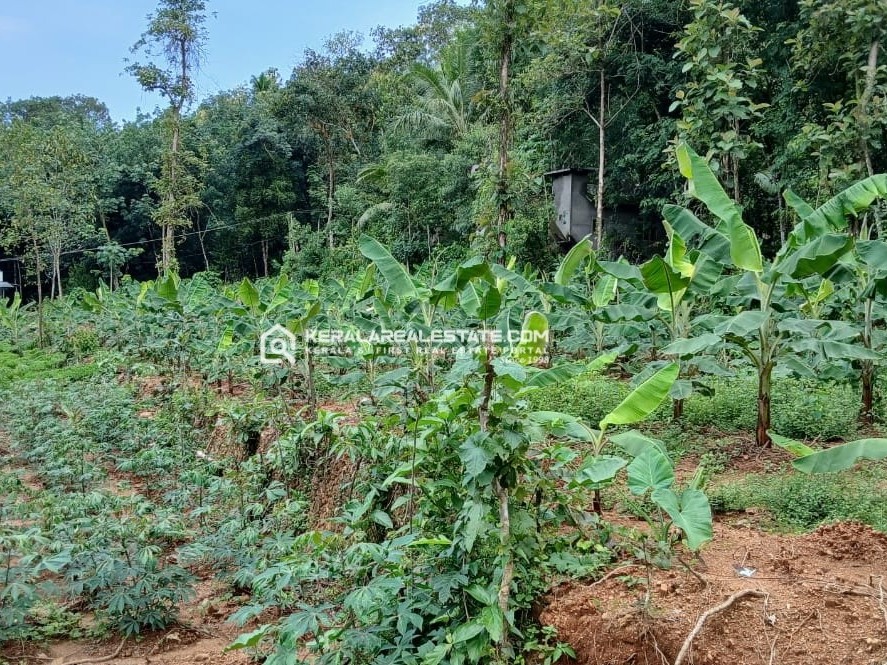 Land for Sale in Pala, Kottayam