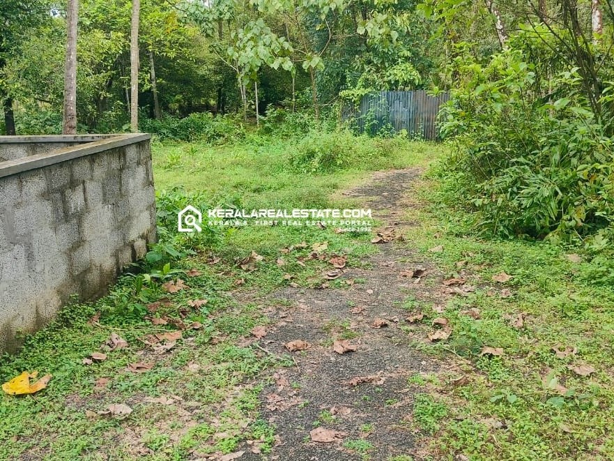 House Plot for Sale in Kidangoor, Angamaly, Ernakulam 