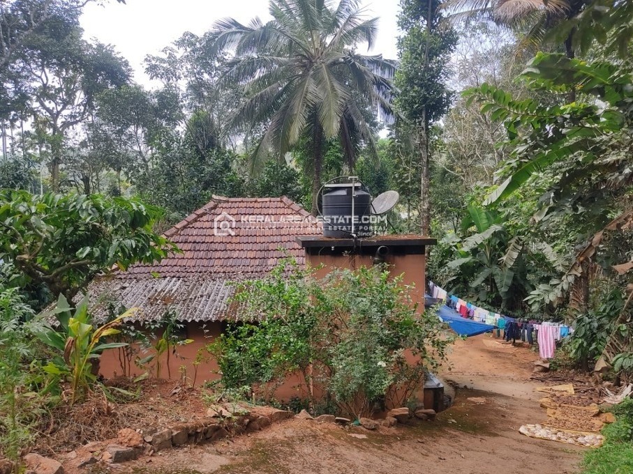 Scenic Estate for Sale in Nadavayal, Wayanad 