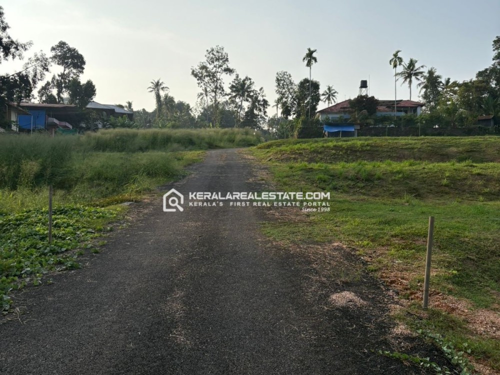 Land for Sale in Kollad, Kottayam 