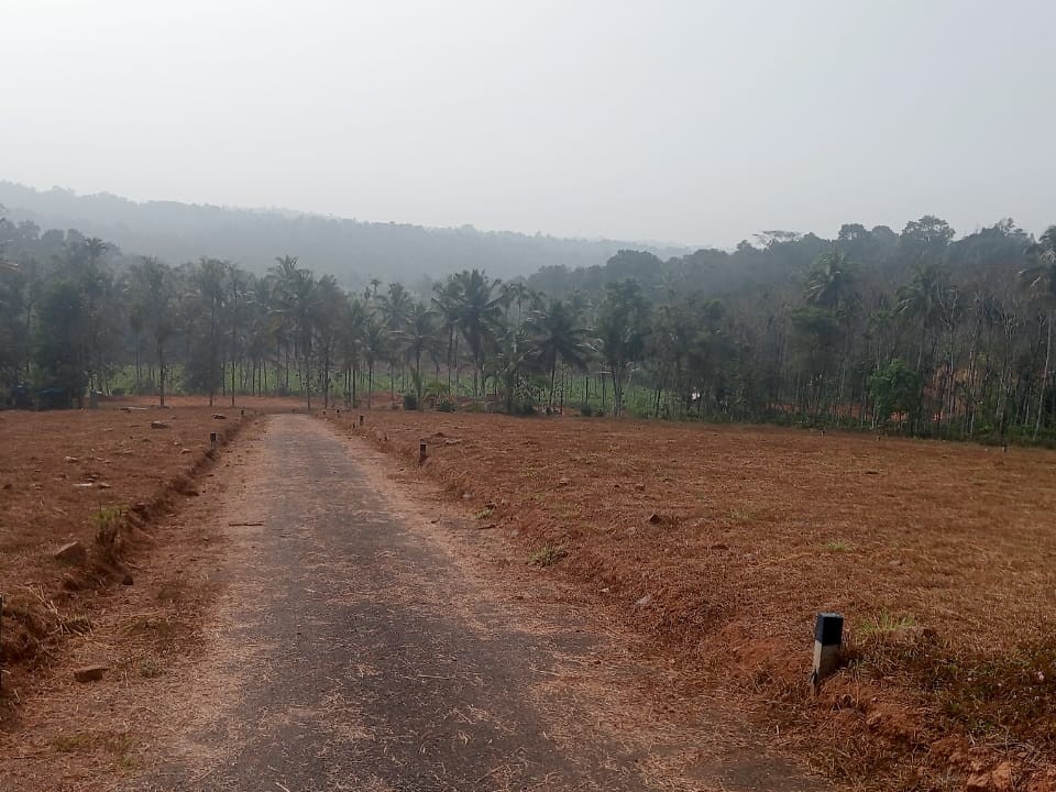  Land for Sale in Meenangadi, Wayanad 