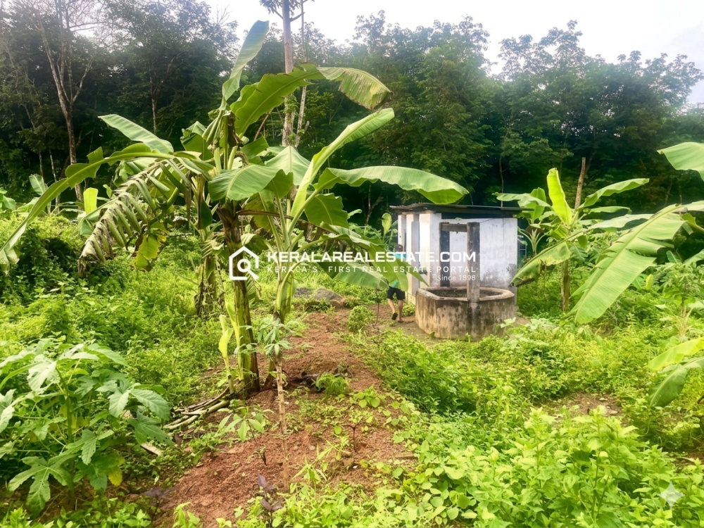 Prime Land for Sale in Panaveli, Kottarakkara, Kollam 