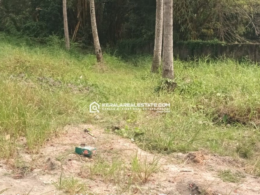 Land for Sale Near Changampuzha Park, Edappally, Ernakulam 