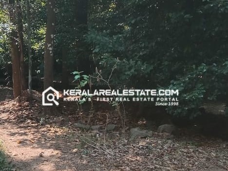 PRIME RIVERSIDE LAND FOR SALE  NEAR NEDUMBASSERY AIRPORT, ERNAKULAM