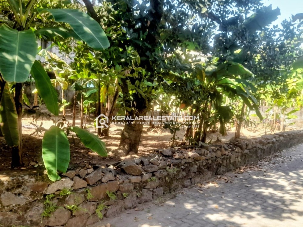 HOUSE PLOT FOR SALE IN PALACHUVADU JUNCTION, KAKKANAD, ERNAKULAM