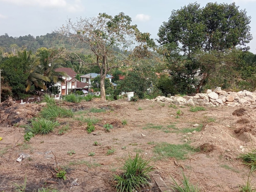 Residential Land for Sale in Muttil, Wayanad 