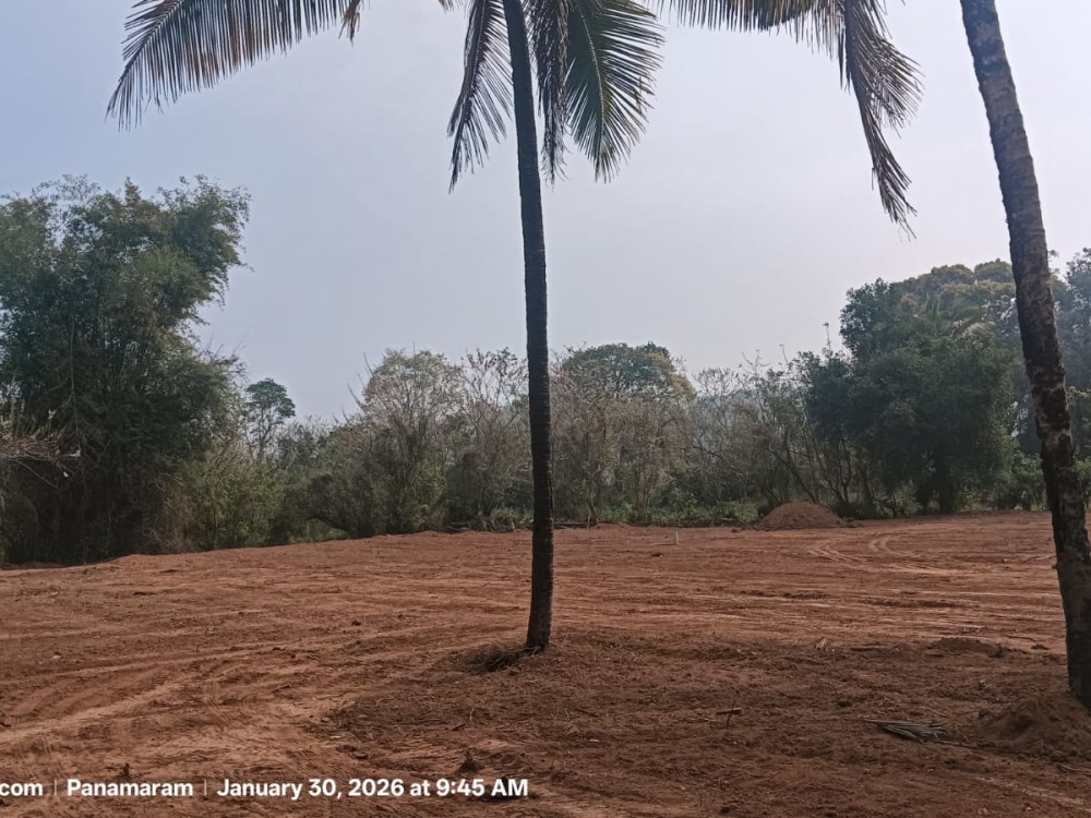 River View Land for Sale in Panamaram, Wayanad 