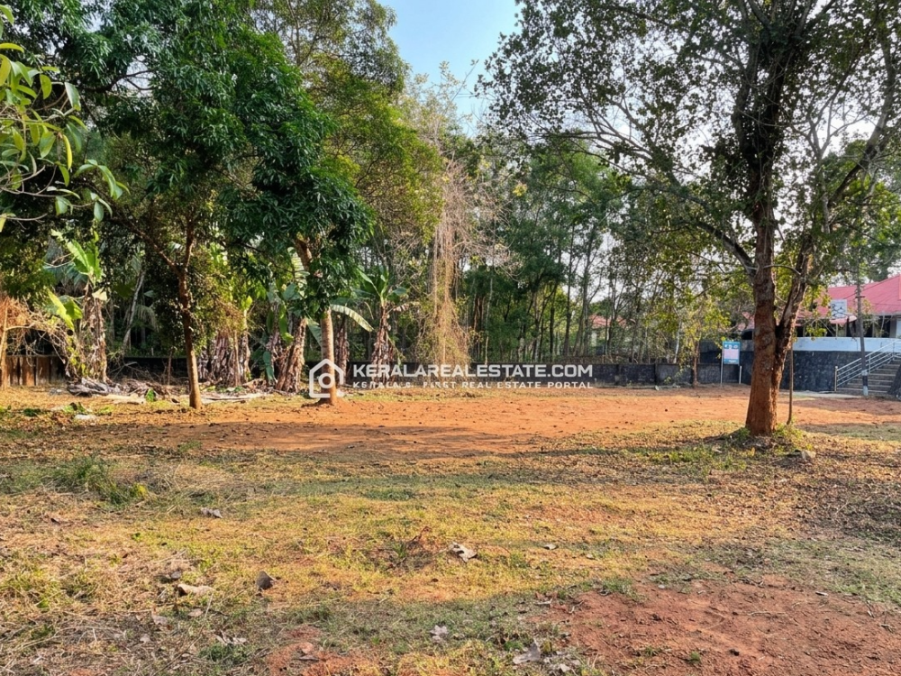 Residential Plot for Sale in Thumpamon, Pathanamthitta 