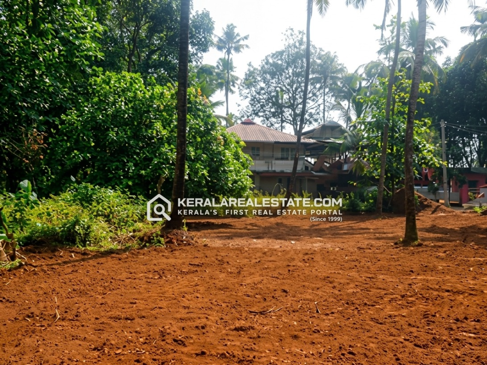NH Facing Land for Sale in  Mekadampu, Muvattupuzha, Ernakulam 