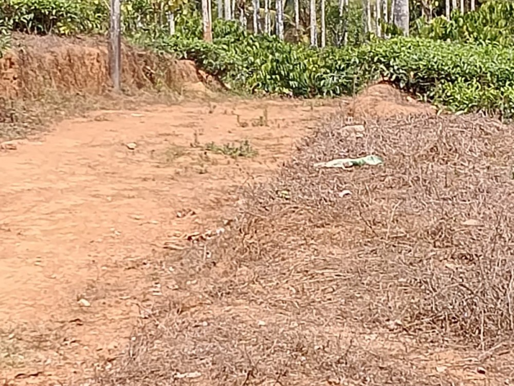 Land for Sale in Ambalavayal, Wayanad 
