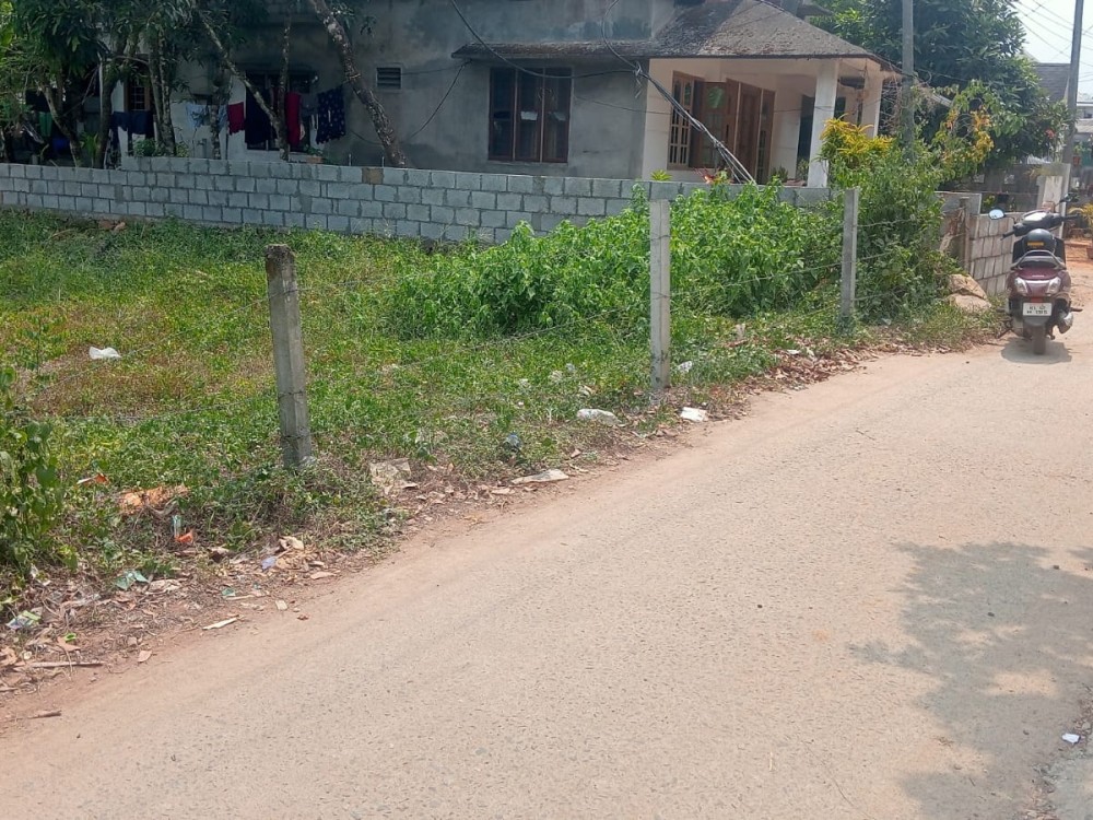 Land for Sale in Muttil, Wayanad 